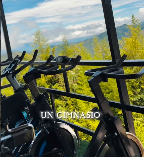 Androgym