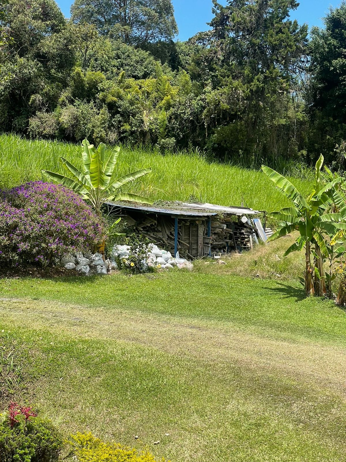 Finca Piscina - foto 3