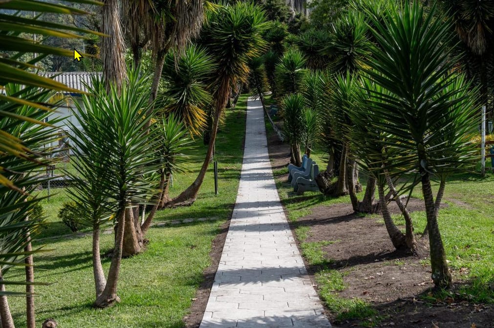 Bosque el prado - foto 3