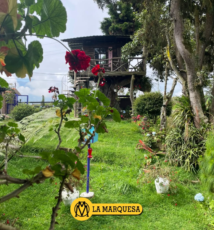 La Marquesa - foto 5