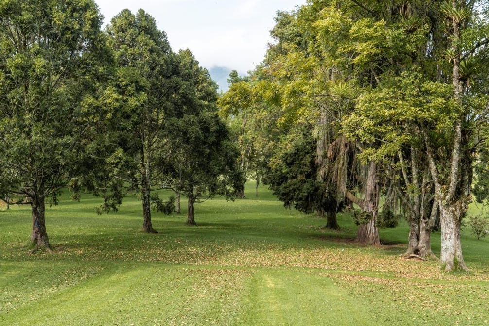 Bosque el prado - foto 7